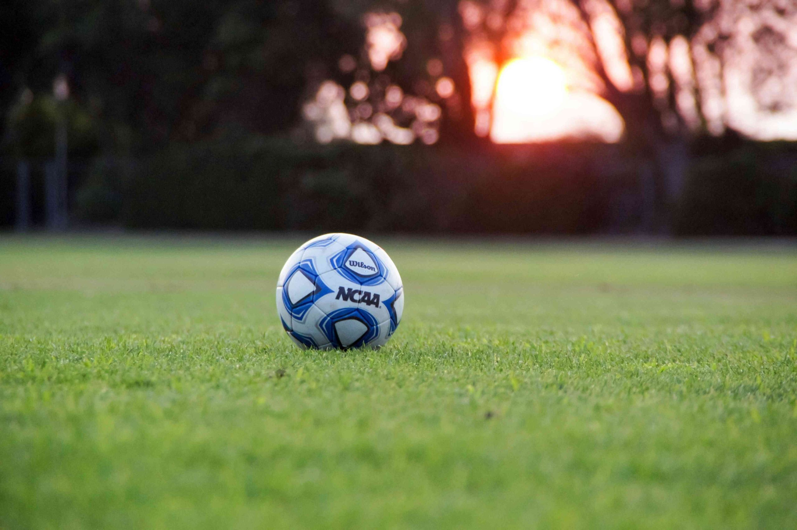 Calcio e Alimentazione: La Dieta Ideale per un Giocatore Professionista