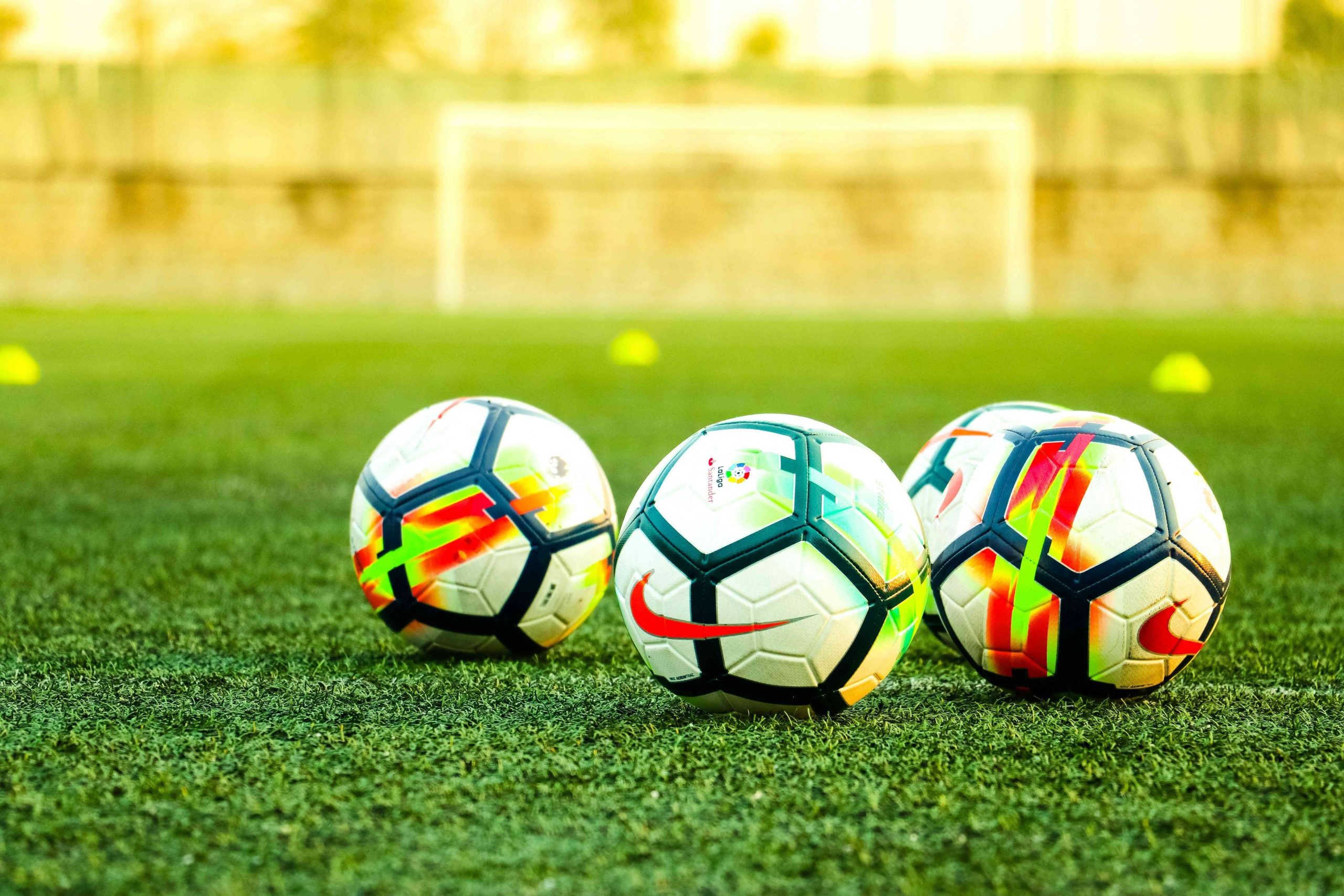 Dalla curva alla passerella: l’ascesa fashion delle maglie da calico